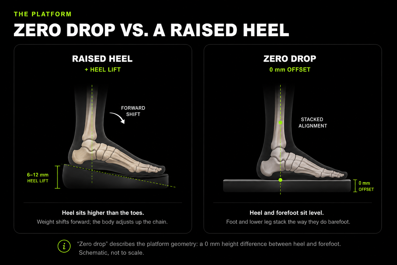 Raised heel versus zero drop, side view: a raised heel tilts the foot forward, while zero drop keeps the heel and forefoot level so the foot and lower leg stack as they do barefoot.